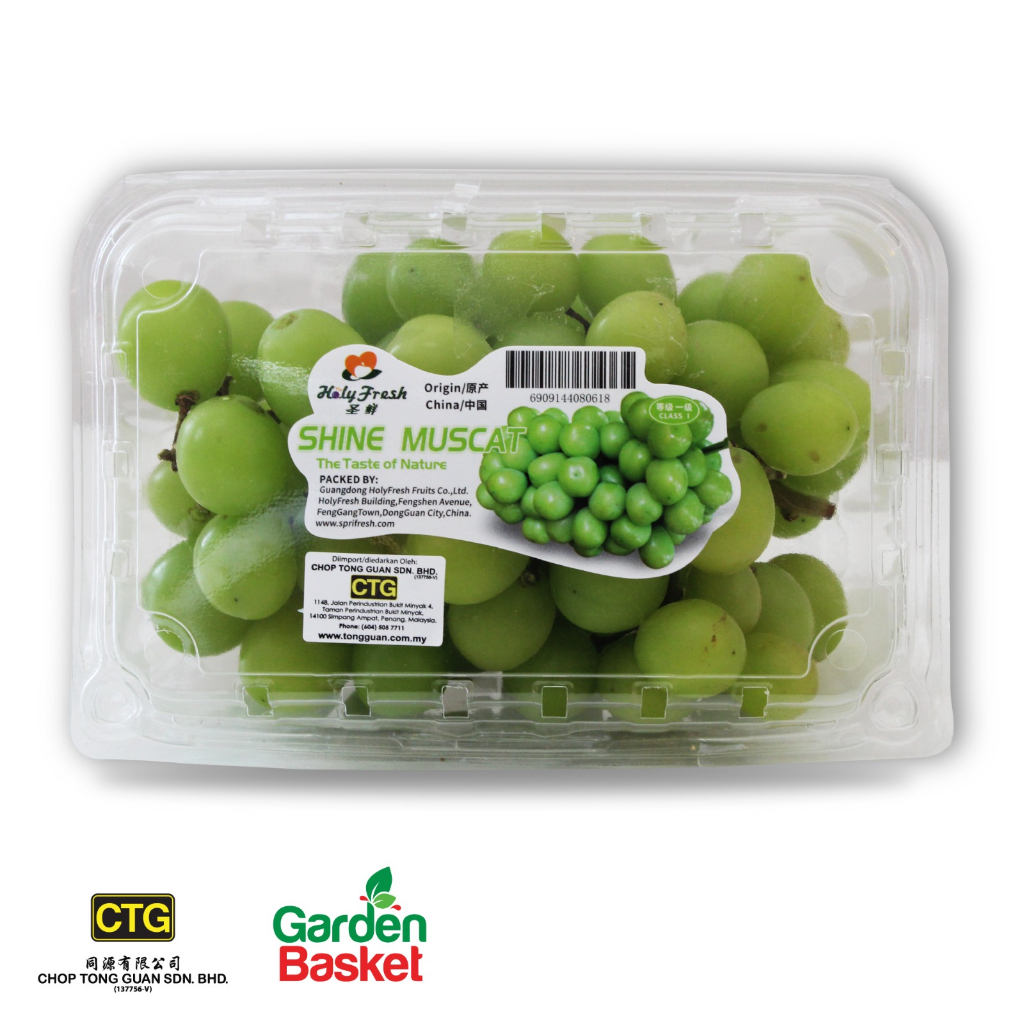 CTG China Shine Muscat Green Grape 500G [Seedless Green Grape] [Sweet