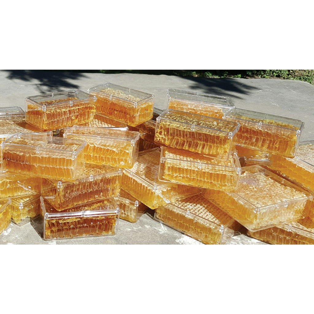 Turkey Organic Mountain Honey comb (250g-1KG) | Shopee Malaysia
