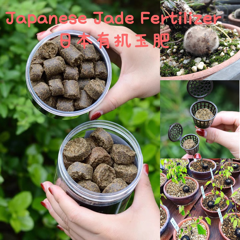 Japanese Jade Fertilizer Organic Slow Release 日本玉肥 有机 颗粒缓释 Baja Jed