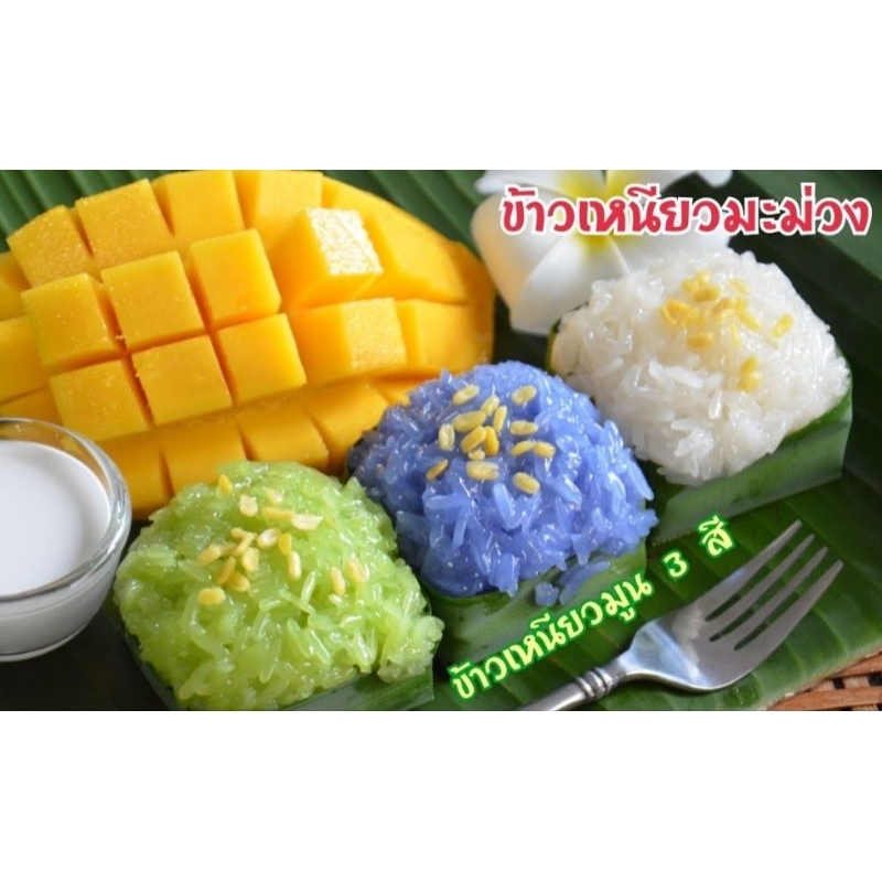 Thailand Glutinous Rice/ Pulut Susu Rice/Premium Thai Glutinous Rice ...