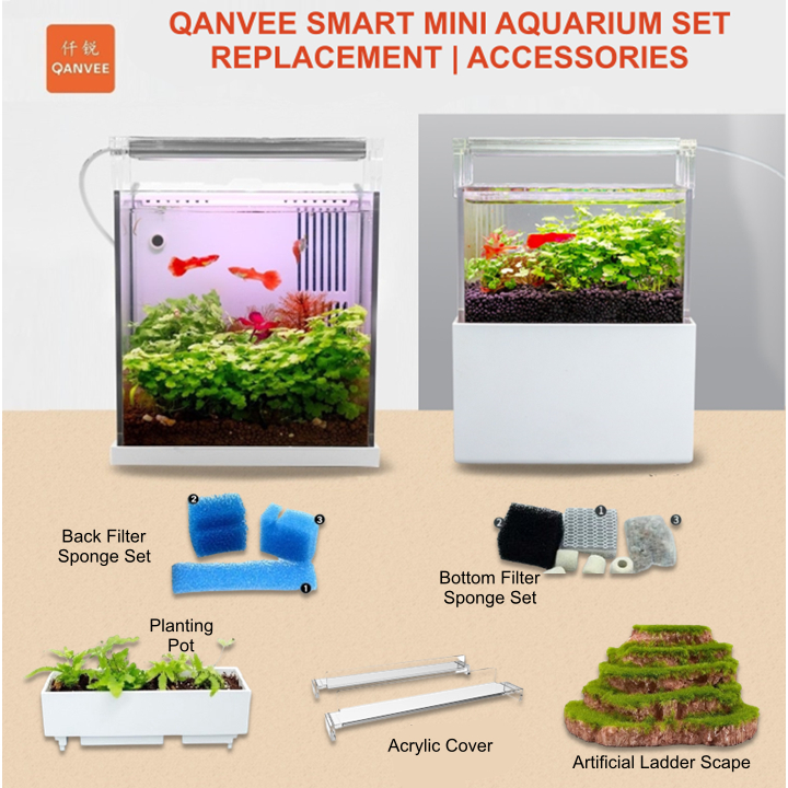 Illustration of Miniature Aquarium Substrate Replacement