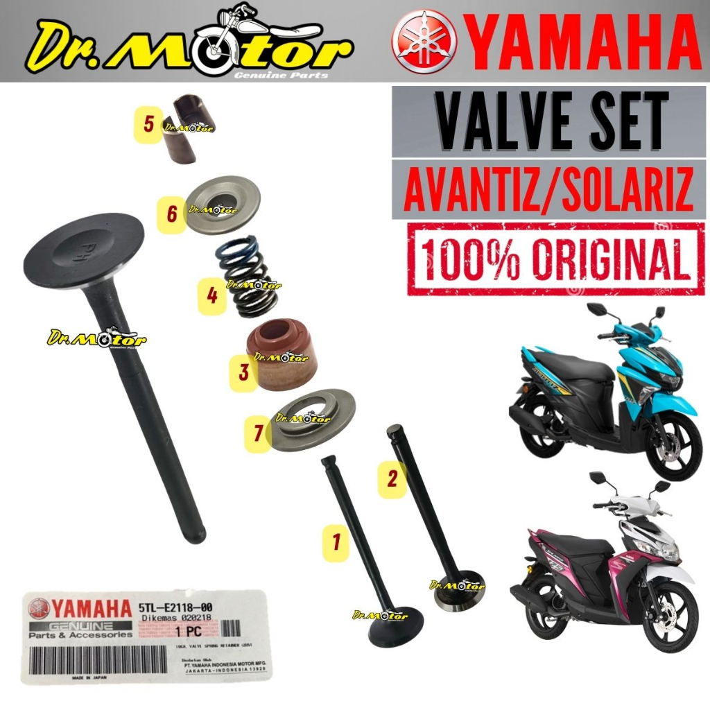 EGO AVANTIZ SOLARIZ Valve Set Intake In Ex Inlet Exhaust Var Spring ...