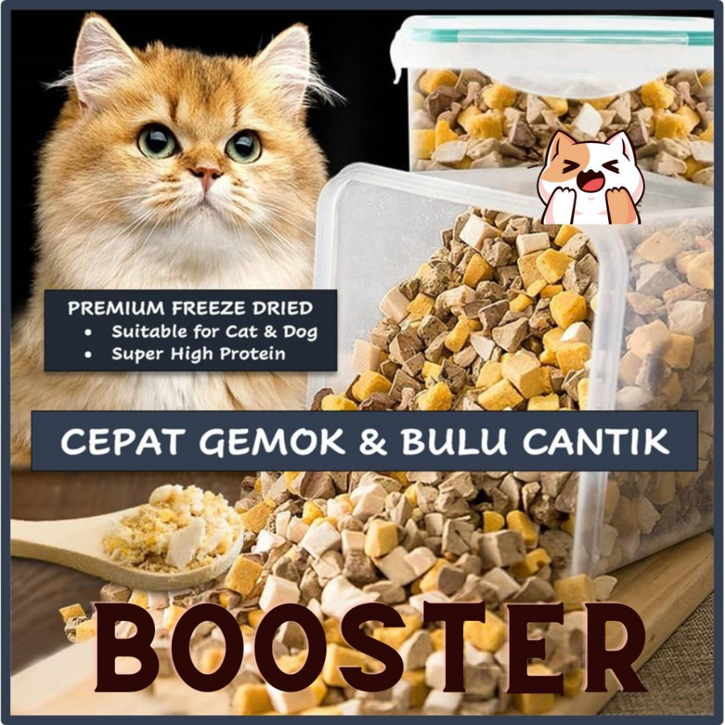 [ SET BORONG - 1KG ] Booster Freeze Dried For Pet Untuk Cepat Gemuk High Protein Makanan Kucing 宠物冻干 Cat Dog SIMBA PET
