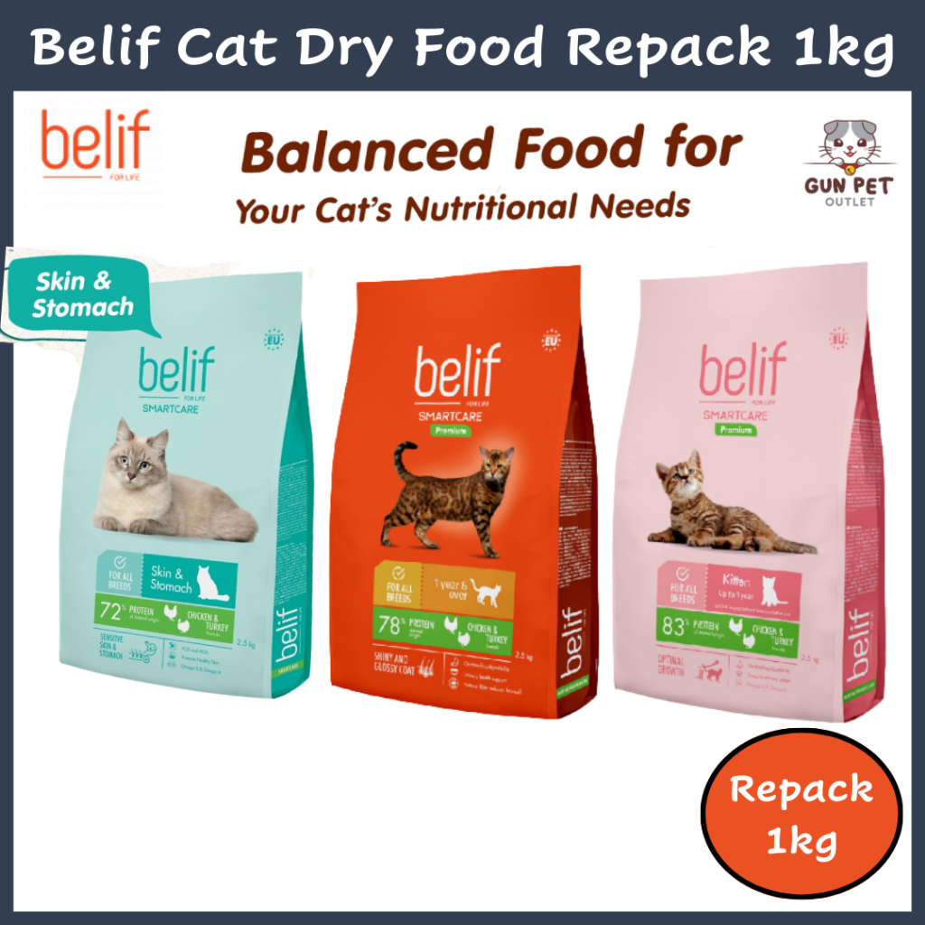 Belif cat cheap food