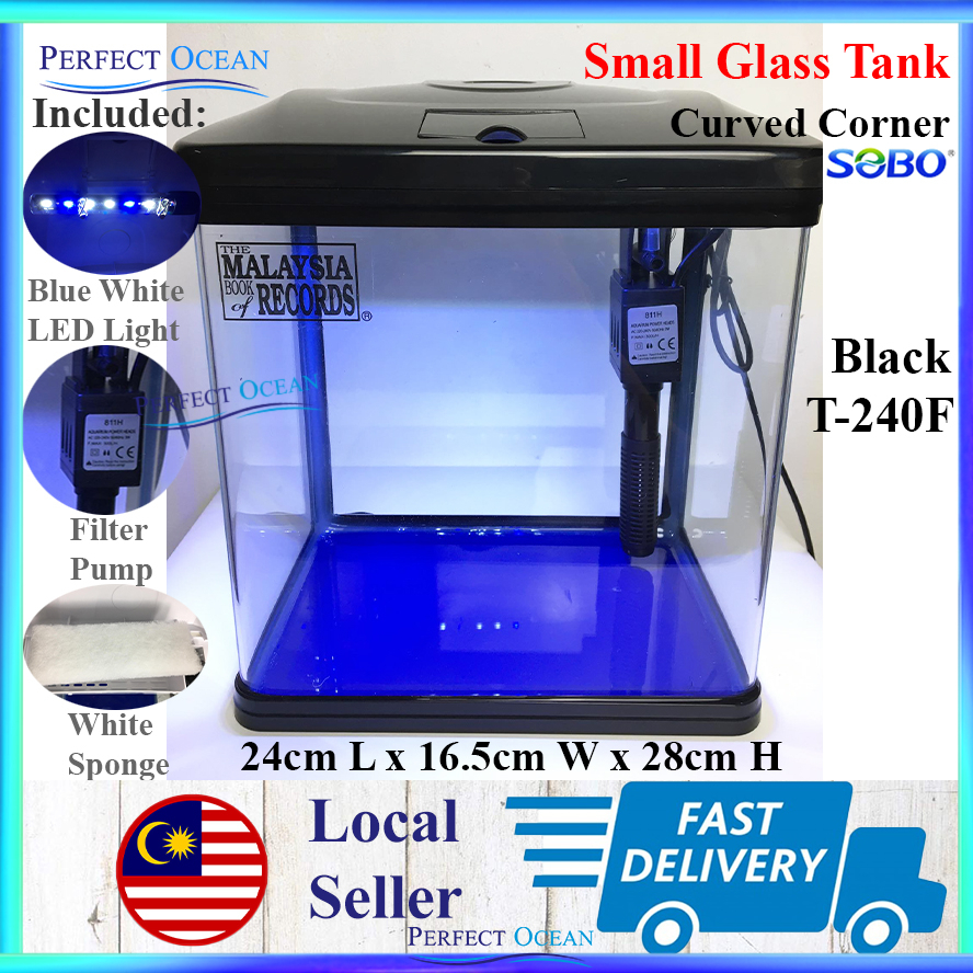 Curved Corner Glass Aquarium Fish Tank [Small] Kaca Ikan Laga Guppy 小鱼缸