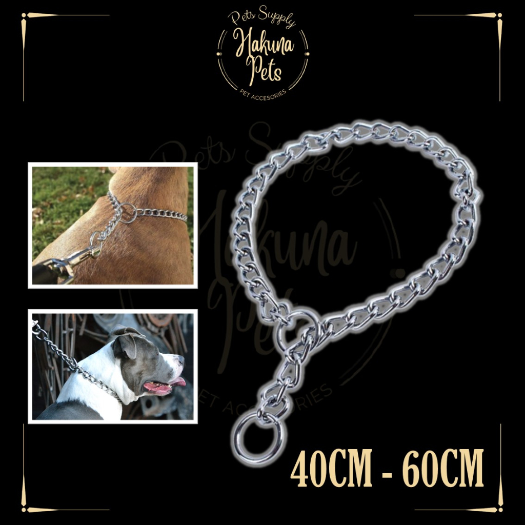 Sterling silver 2024 dog chain collar