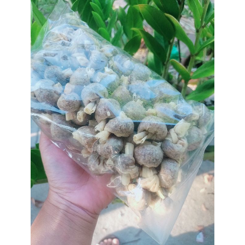 🔥🔥🔥READY STOK🔥🔥🔥POPIA simpul GEMOK MONTEL OBESITI DEBAB 🔥🔥🔥 inti ...