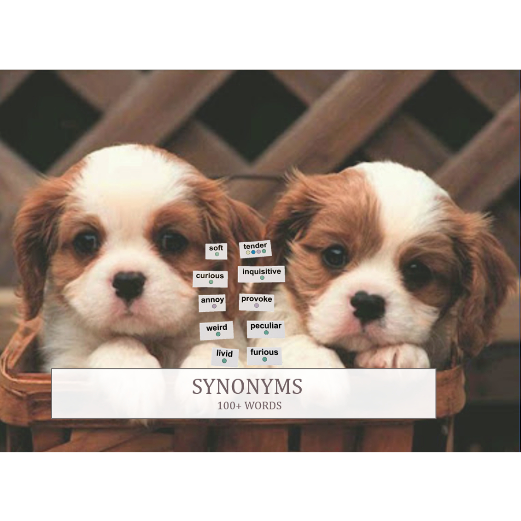 *AddOn* Word Kit Synonyms (100 Words) Shopee Malaysia