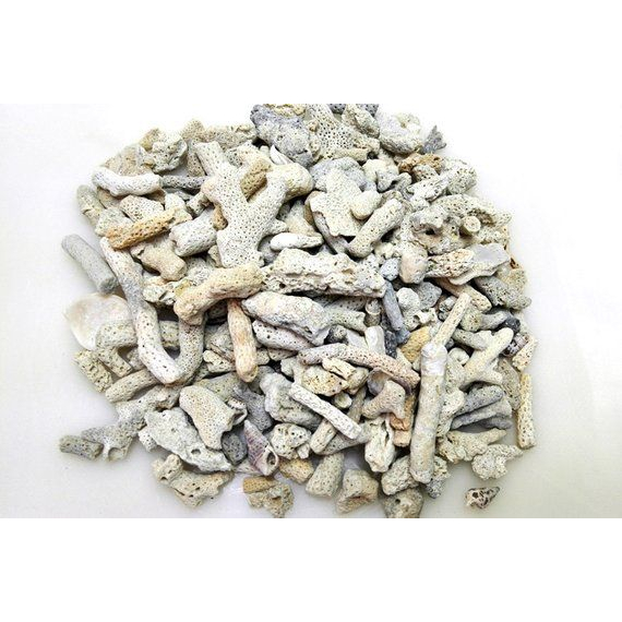 Coral stone/bio filter media 10-20mm | Shopee Malaysia