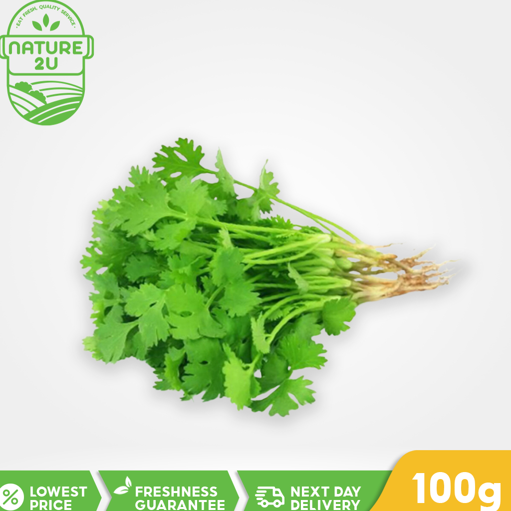 Nature2U Fresh Vegetable Parsley Chinese/Daun Ketumbar (100G