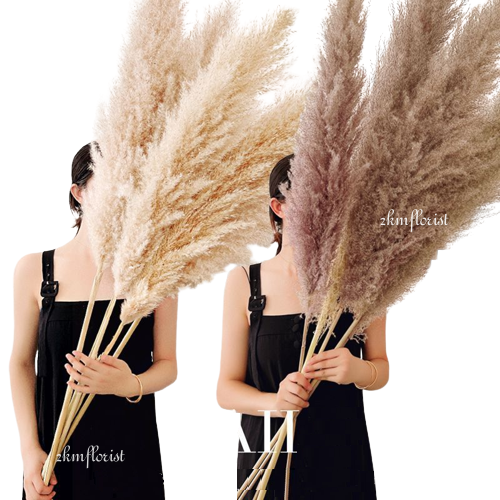 PAMPAS EXTRA LONG Flurry Real Fluffy Dried Flower Natural Pampas Grass ...