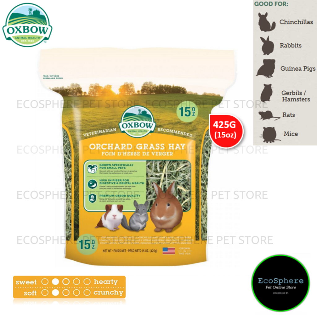OXBOW Orchard Grass Hay 15oz (425g) For Rabbit, Guinea Pig, Chinchilla ...
