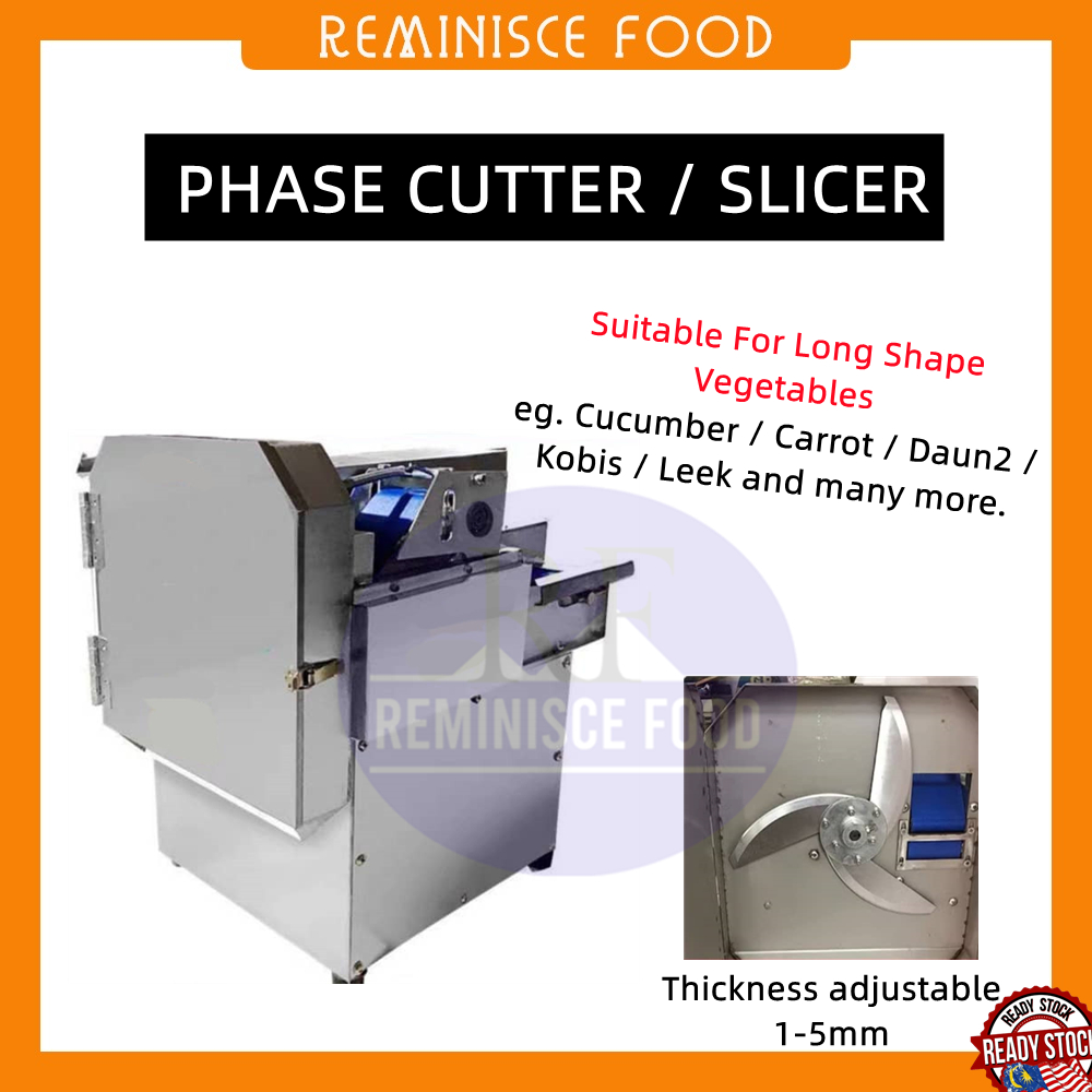 Conveyor Phase Cutter Machine / Slicer Machine (Specialize for long ...