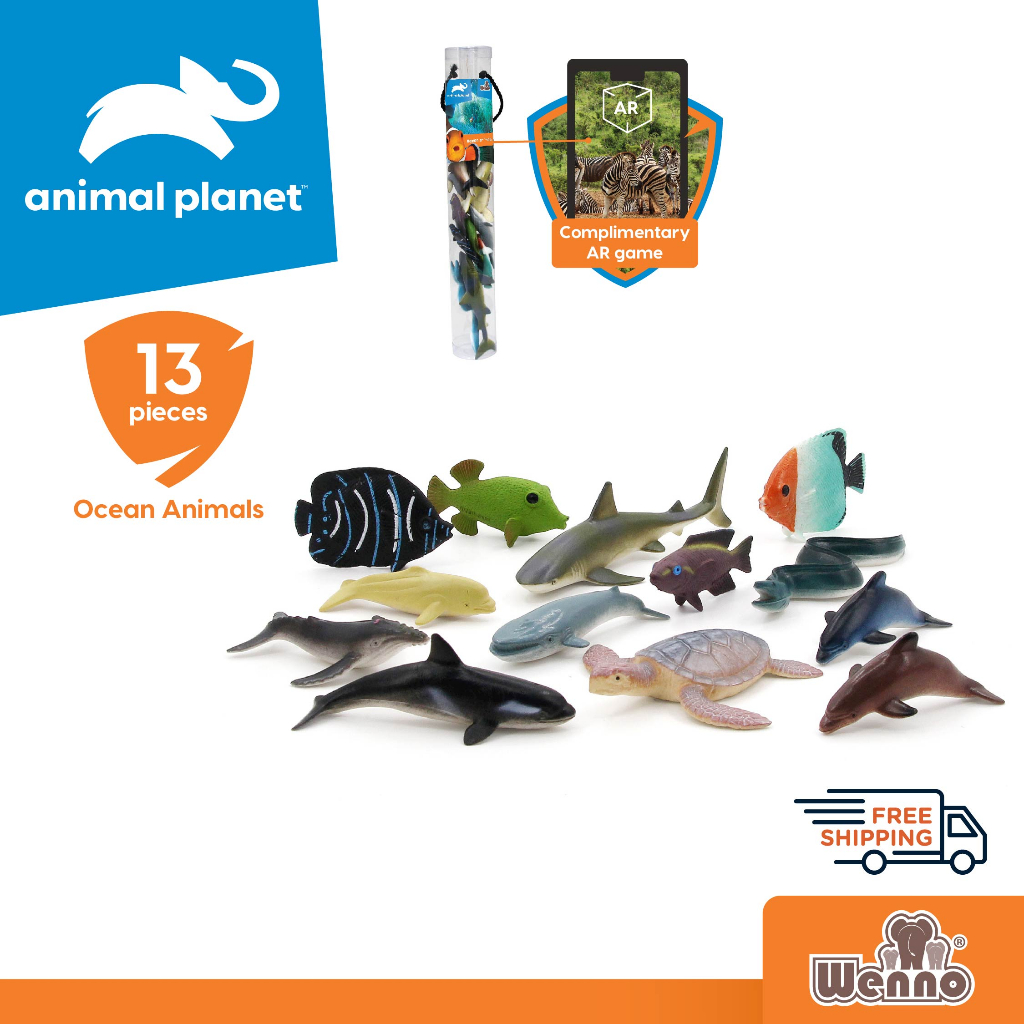 Wenno x Animal Ocean Animal Category Learning Educational