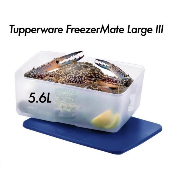 TUPPERWARE FreezerMate Large III (1) 5.6L | Shopee Malaysia