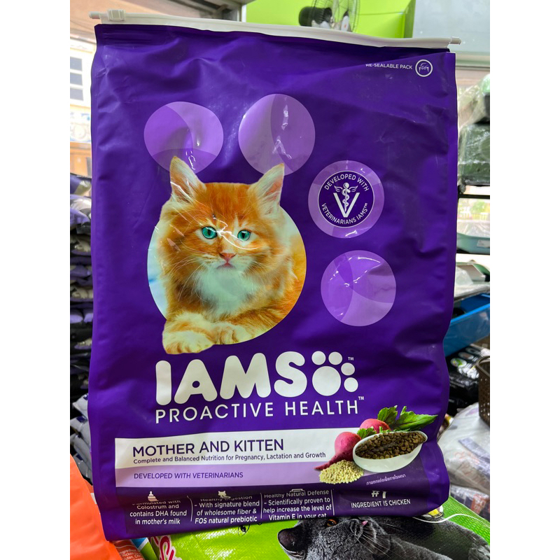 Kitten Iams Cat Food Purple Bag Iams Proactive Healthy Kitten Food