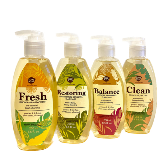 Coco Soap IOL Hand Wash 250ml | Shopee Malaysia