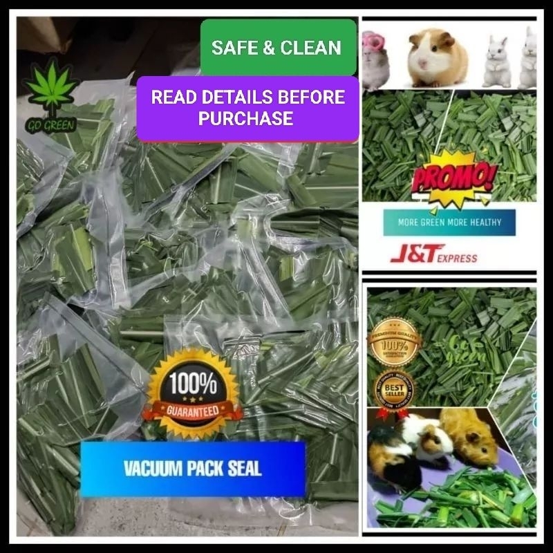 FRESH CUT NAPIER GRASS/ DAUN NAPIER DIRECT FARM/ GUINEA PIG FOOD/ RABBIT ARNAB/ FRESH HAY