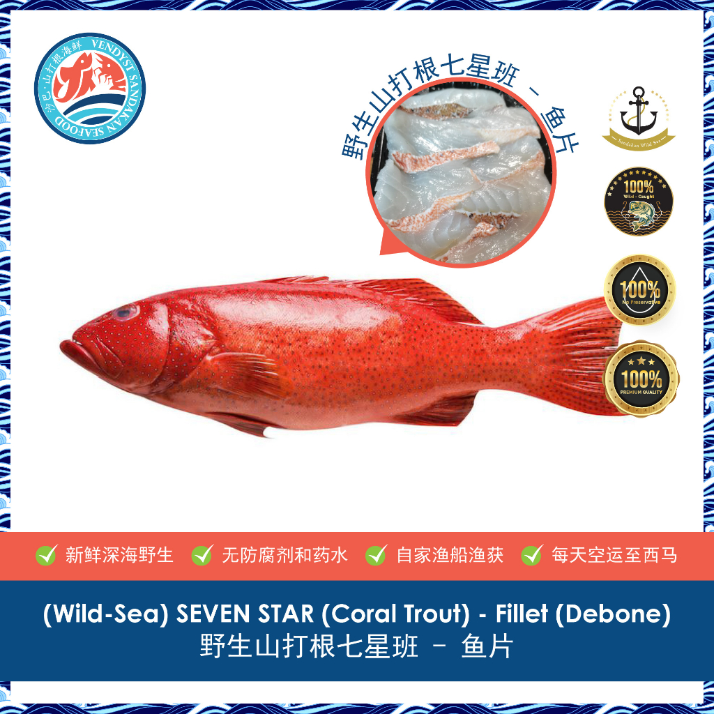 (WildSea) Seven Star (Coral Trout) Fillet (Debone) 野生山打根七星班 鱼片