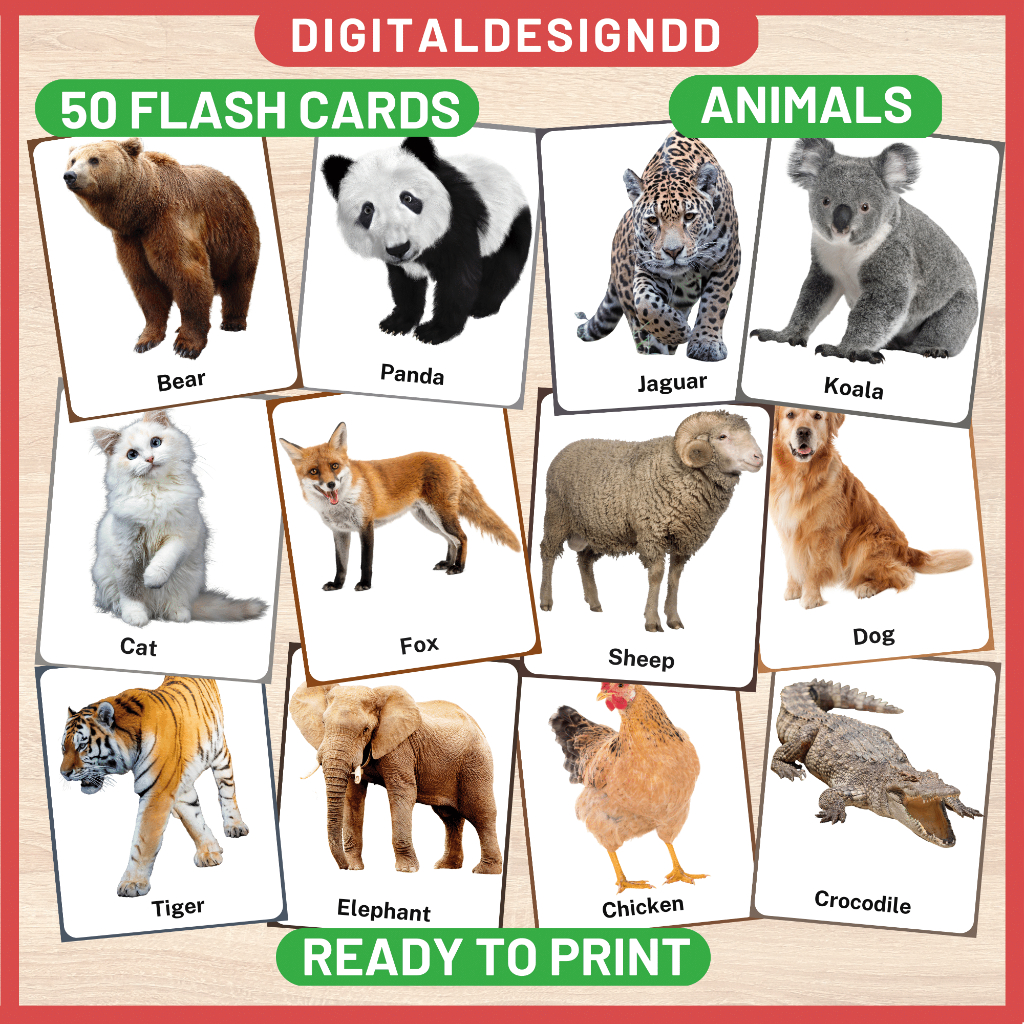 Animal Digital PDF Flash Cards for baby kids preschool toddler Kad