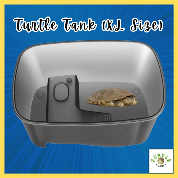 (XL Size) Turtle Tank Aquarium Kura Kura Tortoise Tank Sarang Sangkar