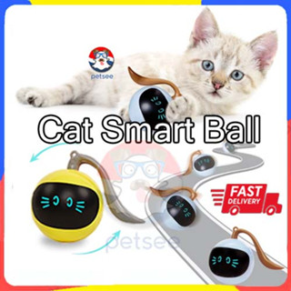 Cat hotsell smart shop