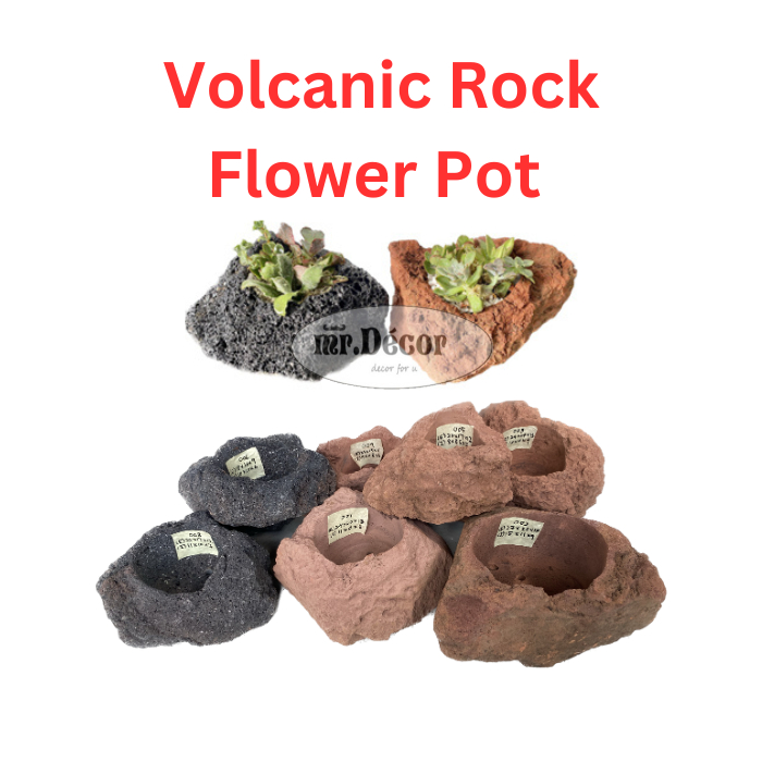 Lava Volcanic Rock Pot For Indoor Plant Succulent Lithops 火山石花盆适合多肉和生石花 ...