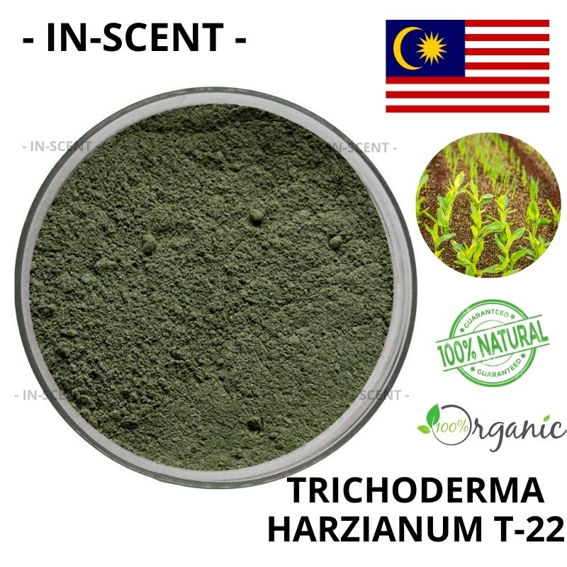 Trichoderma Harzianum T-22 5 billion/gram Made In Malaysia | Shopee ...