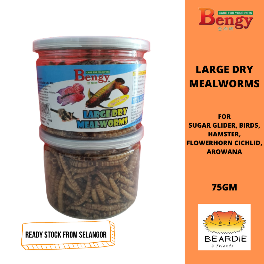 BENGY LARGE DRY MEALWORMS SNACK TREATS FOR SUGAR GLIDER HAMSTER FISH