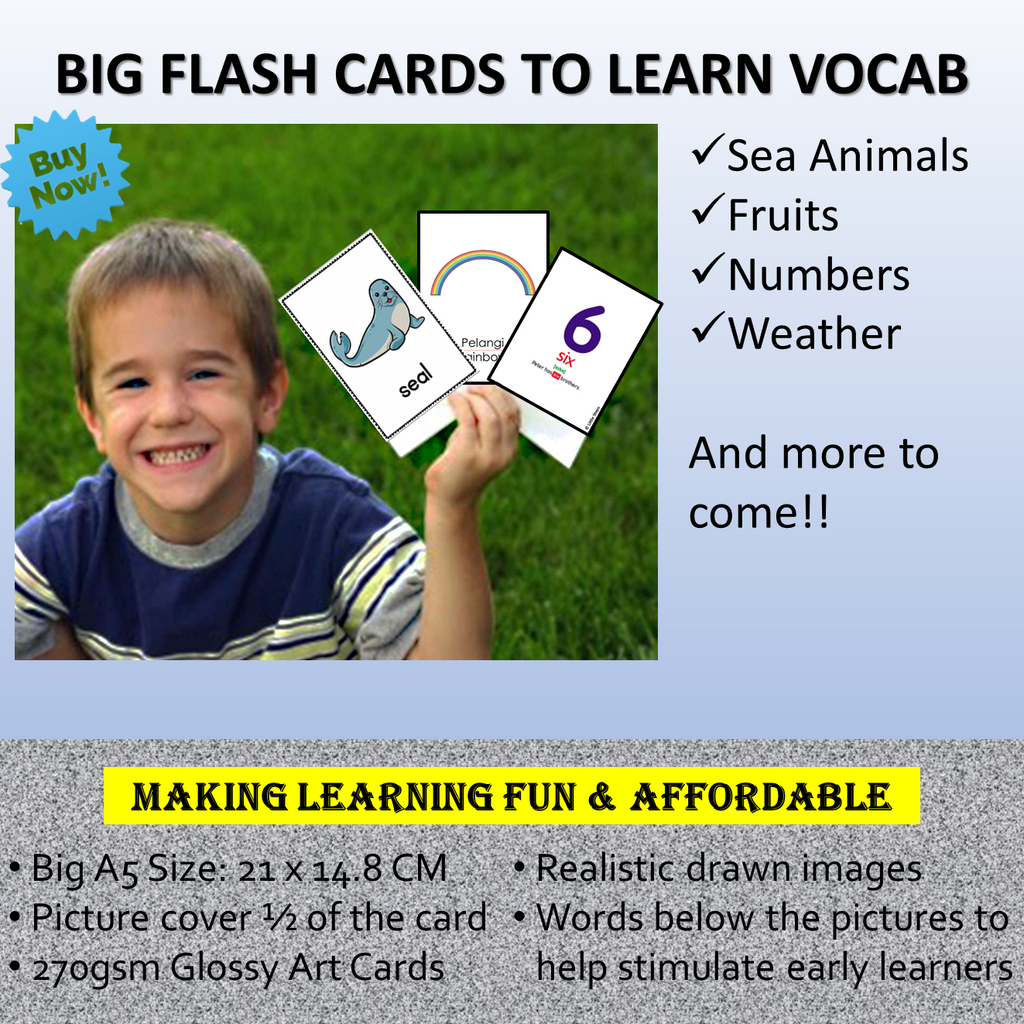 Early Learning Educational Vocabulary Big Flash Cards Baby & Kid