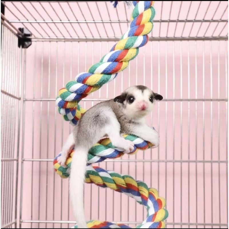 150cm Sugar Glider Climbing Rope/bird climbing rope/Sugar glider ...