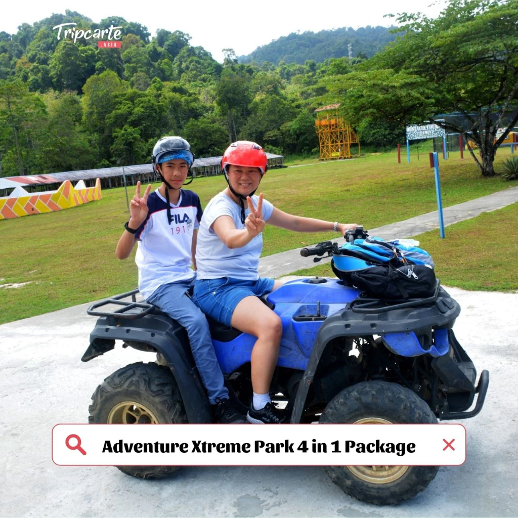 TripCarte Activity