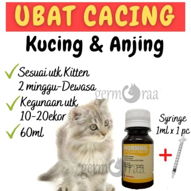 Ubat Cacing Kittens Adult Kucing Dewasa Anjing Wormnil Cat Deworm 60ml
