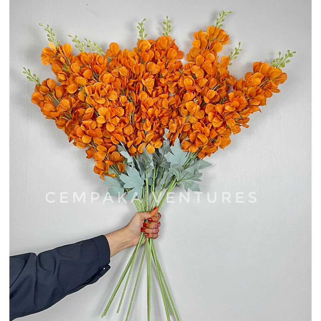 Bunga Harum Sundal Malam Bunga Jagung Hiasan Pelamin Matthiola Flower ...