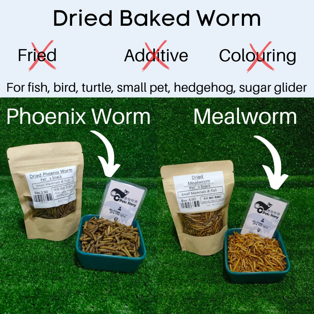 CC Pets Story✨Ready Stock, Dried Baked Worm, phoenix worm, mealworm - 200g  / 500g For Fish, birds and other small pets.