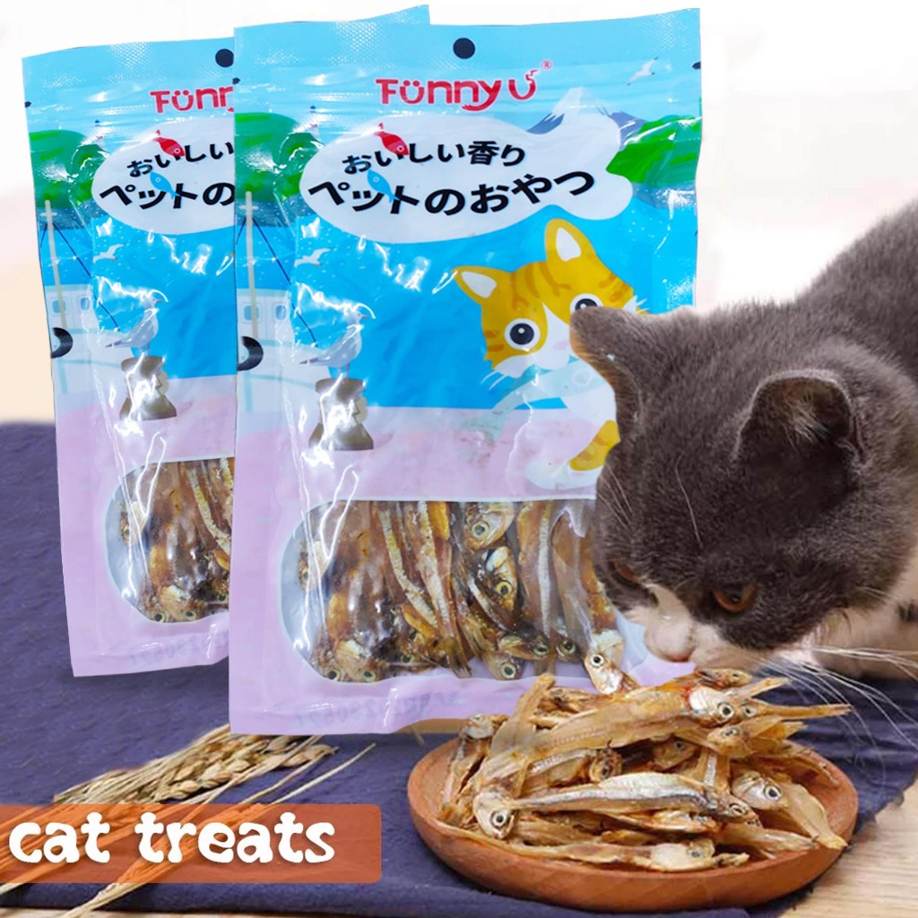 Funny U Saltless Dried Small Anchovy Fish Ikan Bilis Dried Pet