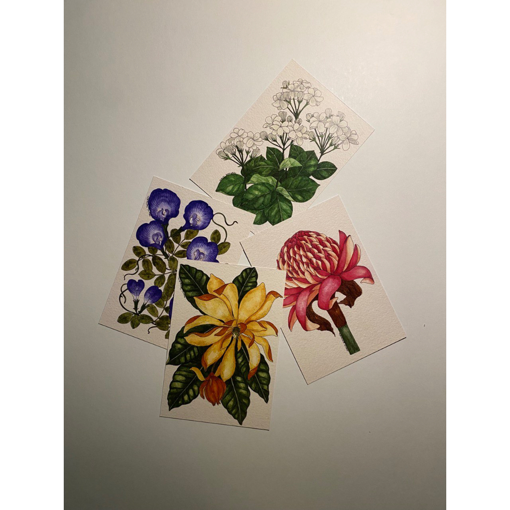 botanical flowers ( Bunga Telang , Bunga Kantan , Bunga Chempaka ...