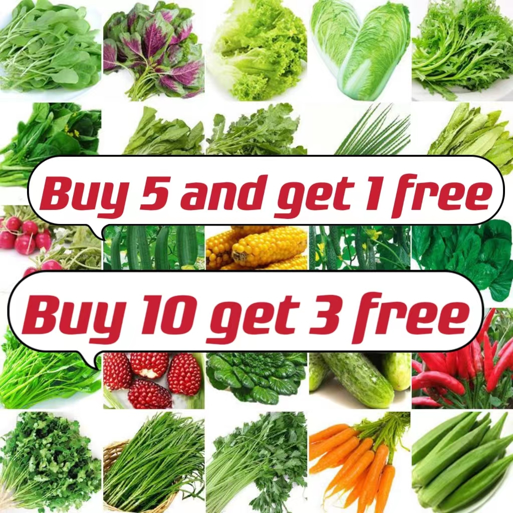 【Easy to grow】Vegetable seeds, fruit seeds, various radish seeds