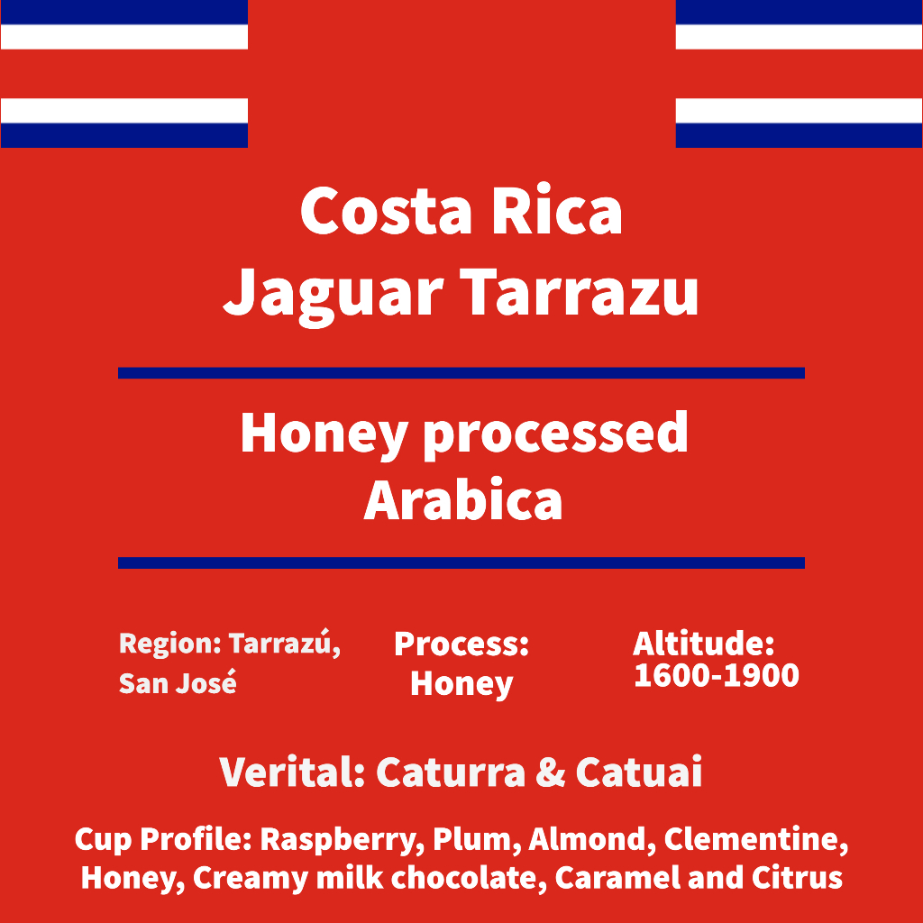 META Coffee Costa Rica Jaguar Terrazu Honey Processed Premium Arabica ...