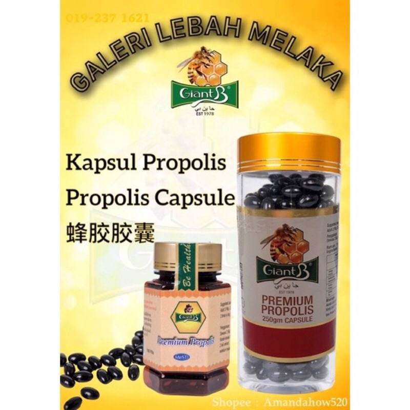 Giant B Honey ( Propolis Capsule / Kapsul Propolis蜂胶胶囊 ) 90 Capsules ...