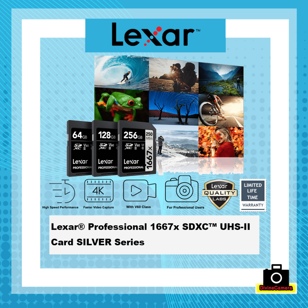 Lexar Professional 1667x UHSII SDXC Memory Card 64GB, 128GB, 256GB SD