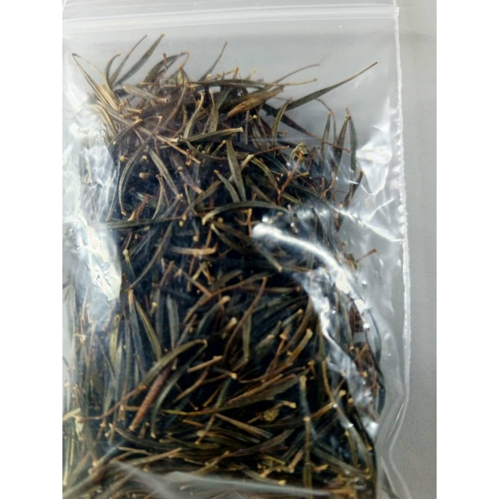 Biji Benih Ulam Raja (100 Biji) | Shopee Malaysia