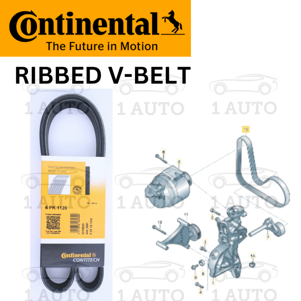 CONTINENTAL GERMANY RIBBED V-BELT VW SHARAN (7N1) 2.0 TSI EOS GOLF mk6 ...