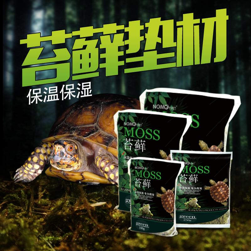NOMOY Pet Dry Forest Moss (Reptile Substrate) (Bedding) (Terrarium