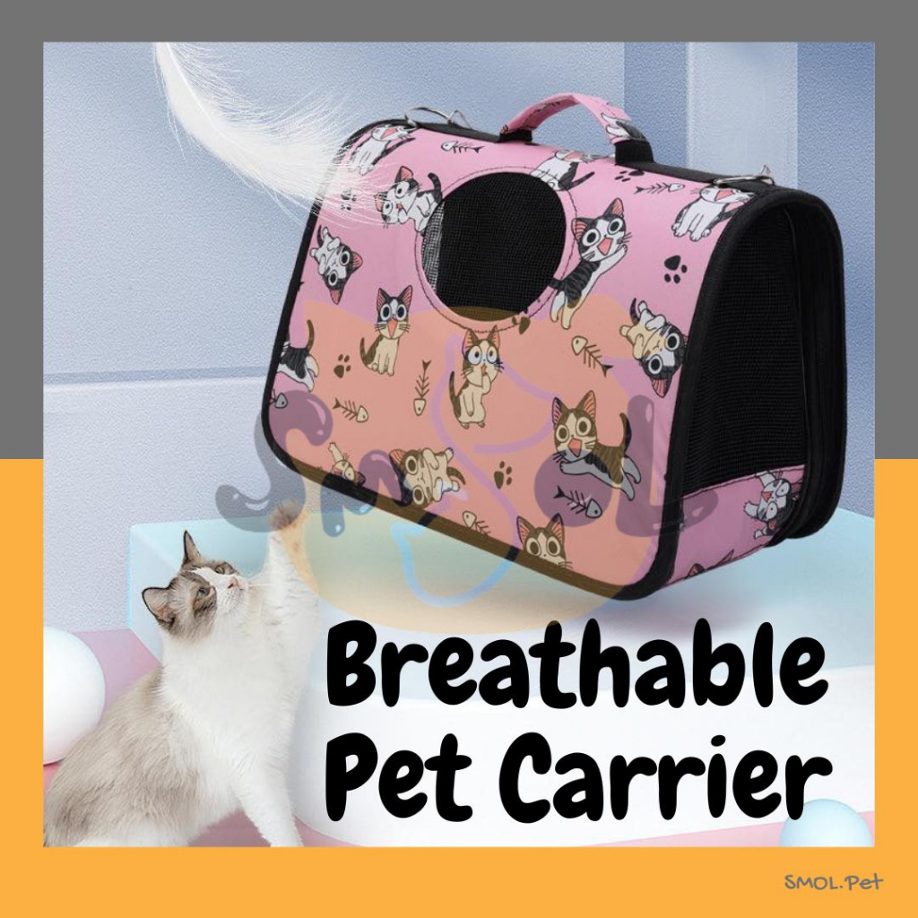 Fashion cat carrier hotsell