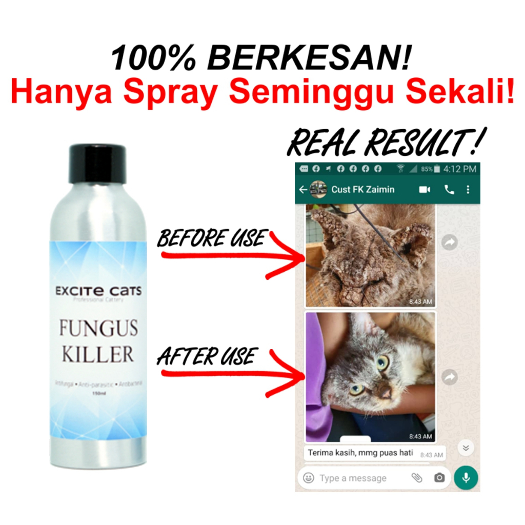 Excite Cats Fungus Killer VIP ubat spray fungus kucing / ubat kurap
