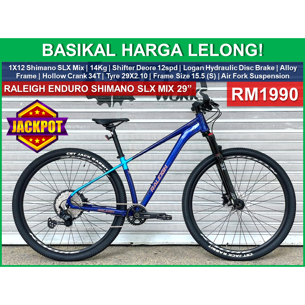 Lelong basikal 2025 mountain bike