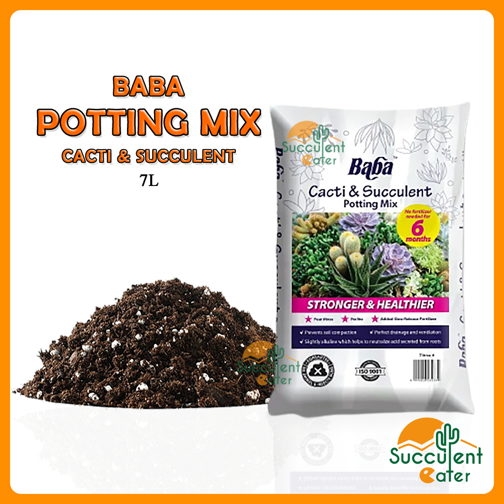 Baba Cacti & Succulent Potting Mix Cactus Soil 7L For Gardening 仙人掌多肉土 ...