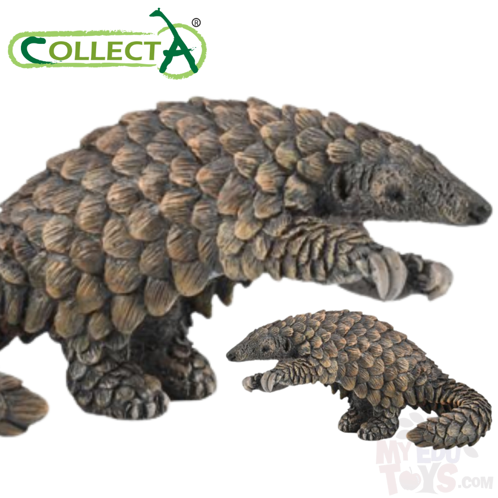 Pangolin - Collecta 88995 Wild Life Afica Animal Action Figurine / Toy ...