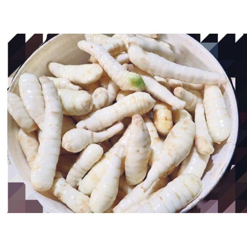 Fresh arrowroot 500g /Maranta arundinacea 竹薯 Ubi bemban segar | Shopee ...